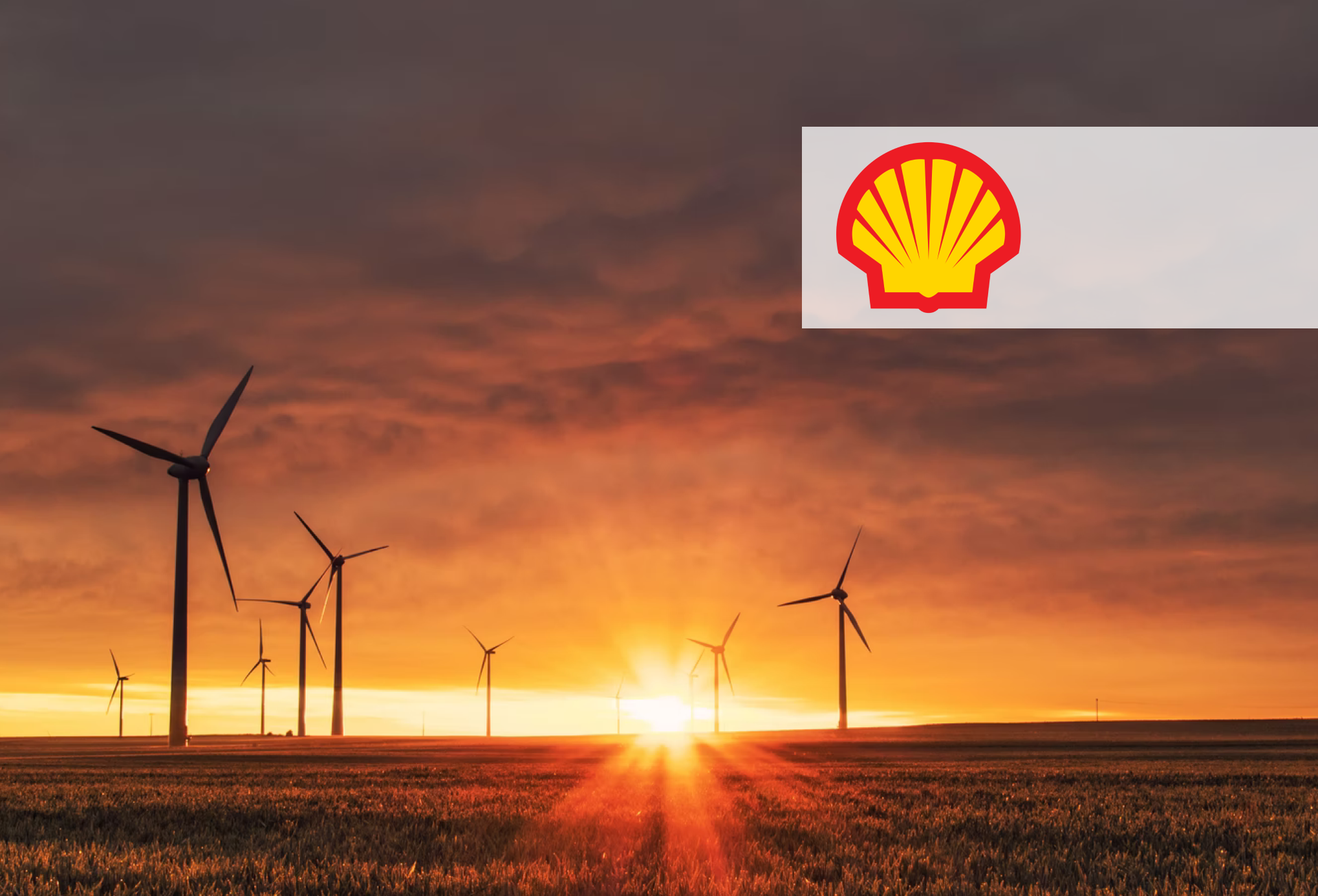 Shell trading platform case study